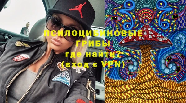 бошки Алзамай