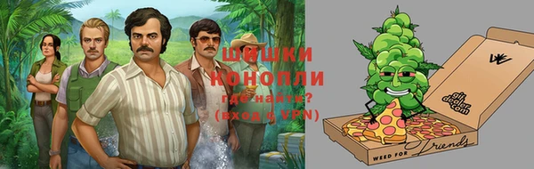 тгк Алексин