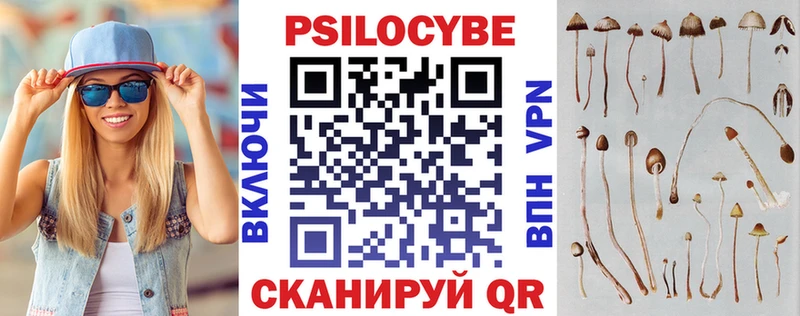 Псилоцибиновые грибы MAGIC MUSHROOMS  blacksprut зеркало  Киреевск 