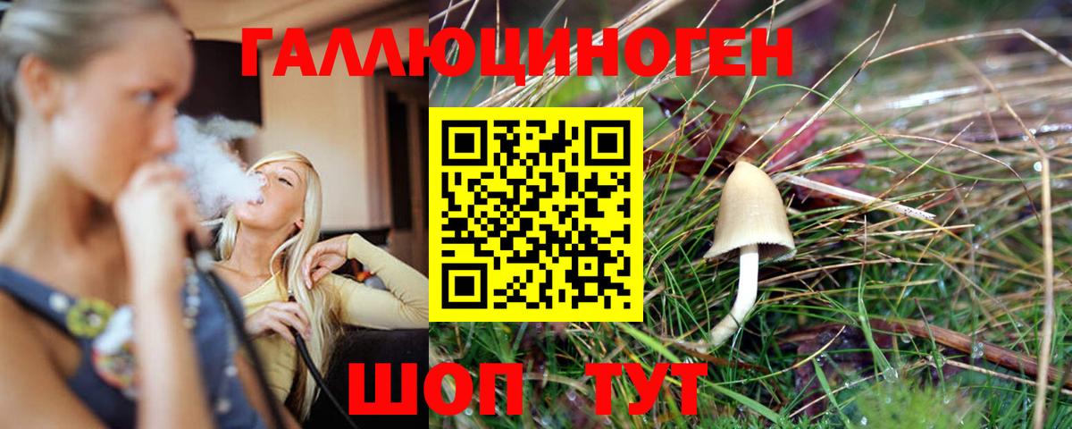 Киреевск  Галлюциногенные грибы прущие грибы  Вход с VPN 